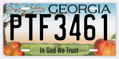 GA license plate PTF3461