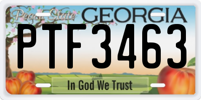 GA license plate PTF3463