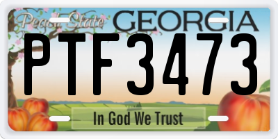 GA license plate PTF3473
