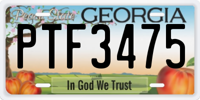 GA license plate PTF3475