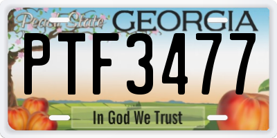 GA license plate PTF3477