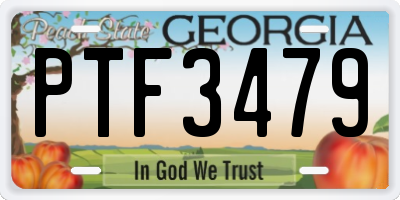 GA license plate PTF3479