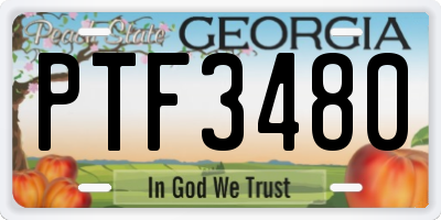GA license plate PTF3480