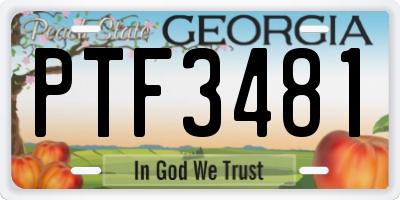 GA license plate PTF3481