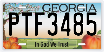 GA license plate PTF3485
