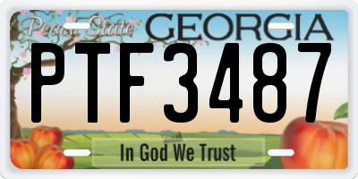 GA license plate PTF3487