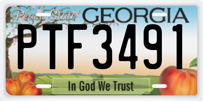 GA license plate PTF3491