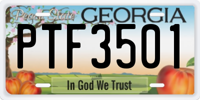 GA license plate PTF3501