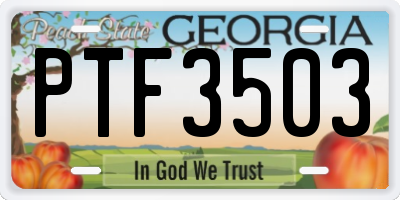 GA license plate PTF3503