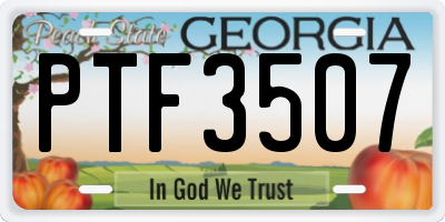 GA license plate PTF3507