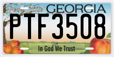 GA license plate PTF3508