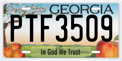 GA license plate PTF3509