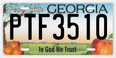 GA license plate PTF3510
