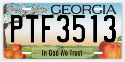 GA license plate PTF3513
