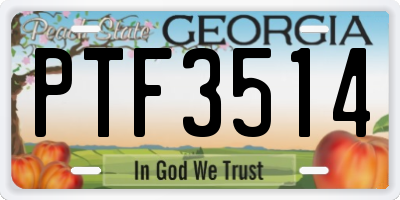 GA license plate PTF3514