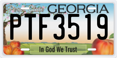 GA license plate PTF3519