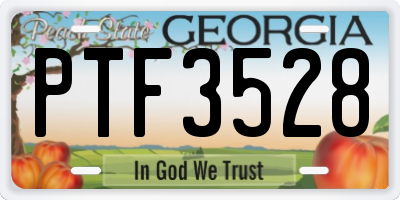 GA license plate PTF3528