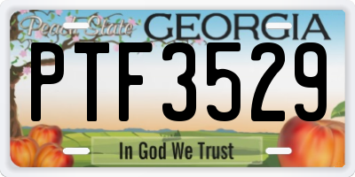 GA license plate PTF3529