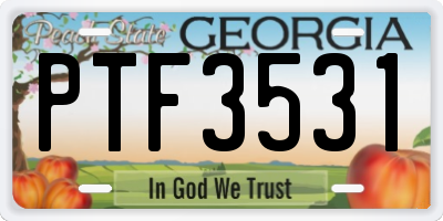 GA license plate PTF3531