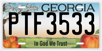 GA license plate PTF3533