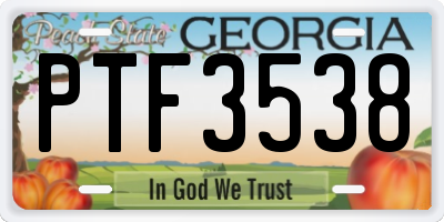 GA license plate PTF3538