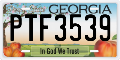 GA license plate PTF3539