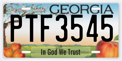 GA license plate PTF3545