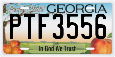 GA license plate PTF3556