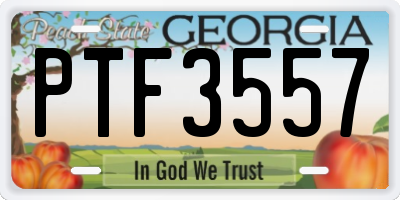 GA license plate PTF3557