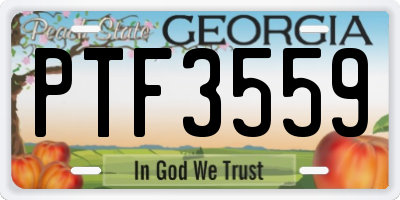 GA license plate PTF3559