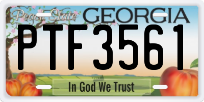 GA license plate PTF3561