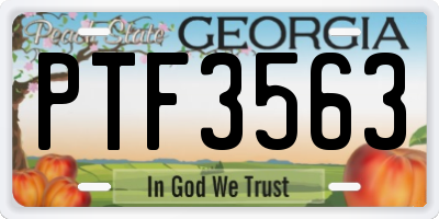 GA license plate PTF3563