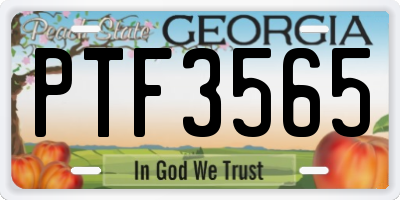 GA license plate PTF3565