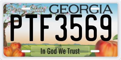 GA license plate PTF3569