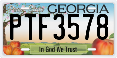 GA license plate PTF3578