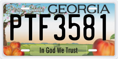GA license plate PTF3581