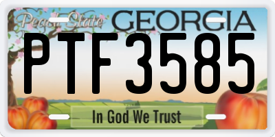 GA license plate PTF3585
