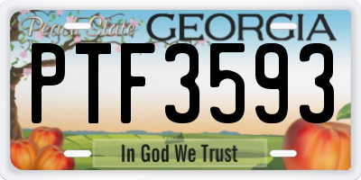 GA license plate PTF3593