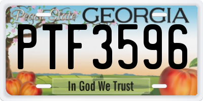 GA license plate PTF3596