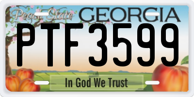 GA license plate PTF3599