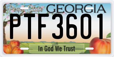 GA license plate PTF3601