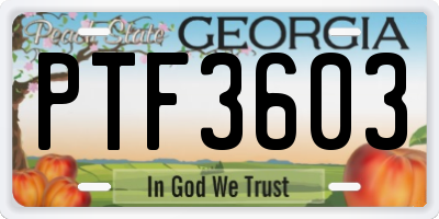 GA license plate PTF3603