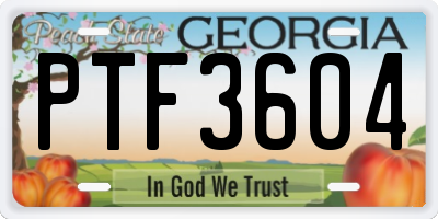 GA license plate PTF3604