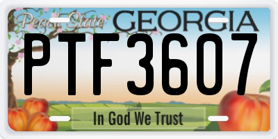 GA license plate PTF3607