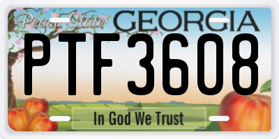 GA license plate PTF3608
