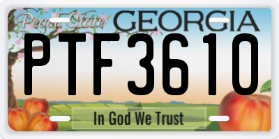 GA license plate PTF3610