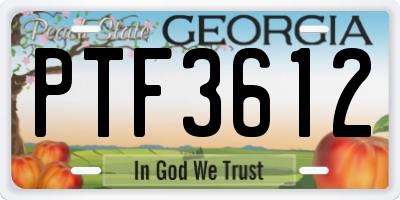 GA license plate PTF3612