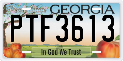 GA license plate PTF3613
