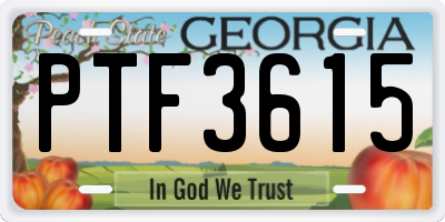 GA license plate PTF3615