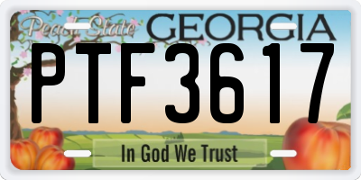 GA license plate PTF3617